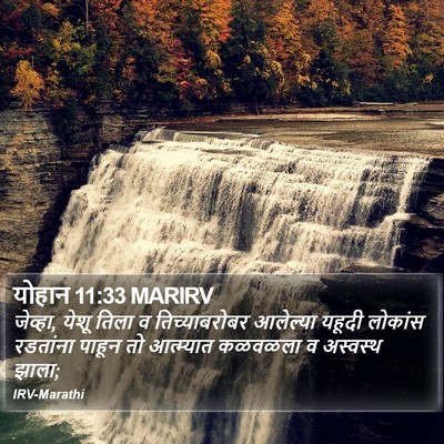 योहान 11:33 MARIRV Bible Verse Image