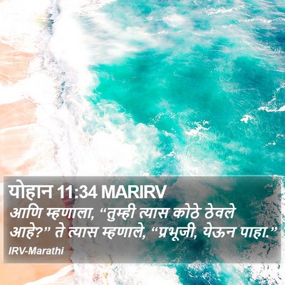 योहान 11:34 MARIRV Bible Verse Image