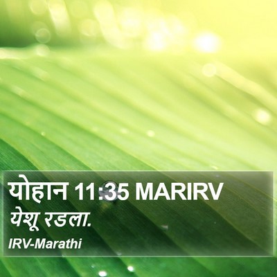 योहान 11:35 MARIRV Bible Verse Image