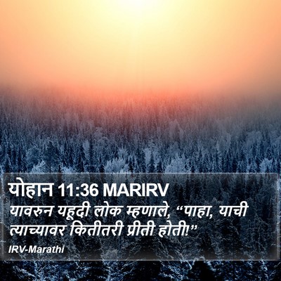 योहान 11:36 MARIRV Bible Verse Image