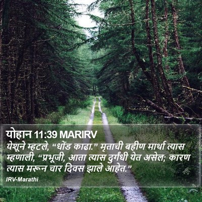 योहान 11:39 MARIRV Bible Verse Image