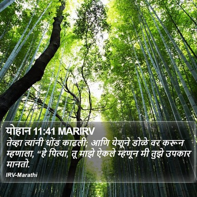 योहान 11:41 MARIRV Bible Verse Image
