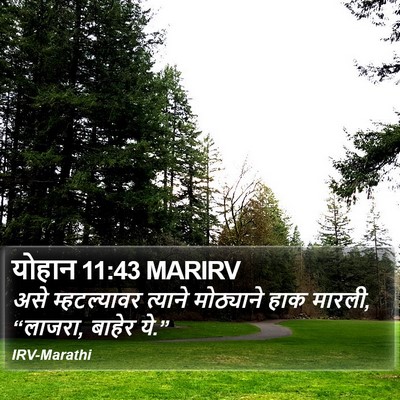 योहान 11:43 MARIRV Bible Verse Image