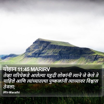 योहान 11:45 MARIRV Bible Verse Image