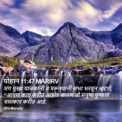 योहान 11:47 MARIRV Bible Verse Image