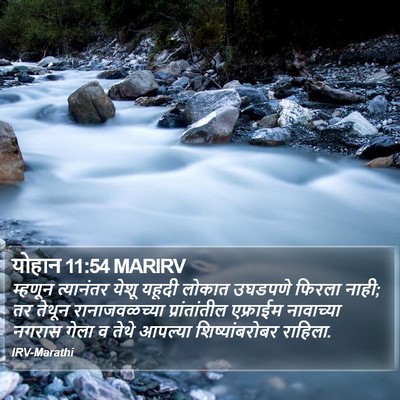 योहान 11:54 MARIRV Bible Verse Image