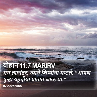 योहान 11:7 MARIRV Bible Verse Image