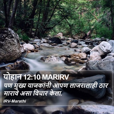 योहान 12:10 MARIRV Bible Verse Image