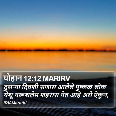 योहान 12:12 MARIRV Bible Verse Image
