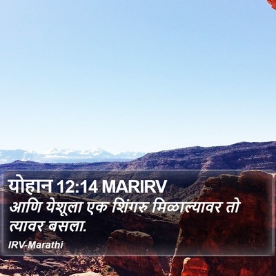 योहान 12:14 MARIRV Bible Verse Image