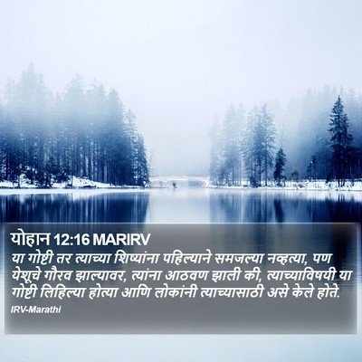 योहान 12:16 MARIRV Bible Verse Image