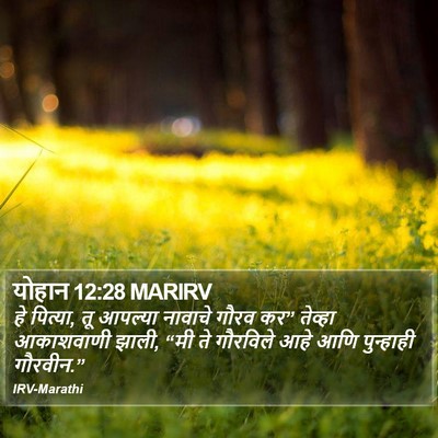 योहान 12:28 MARIRV Bible Verse Image