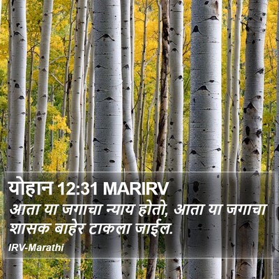 योहान 12:31 MARIRV Bible Verse Image