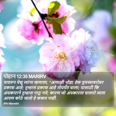योहान 12:35 MARIRV Bible Verse Image