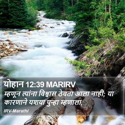 योहान 12:39 MARIRV Bible Verse Image