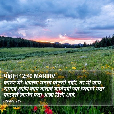 योहान 12:49 MARIRV Bible Verse Image