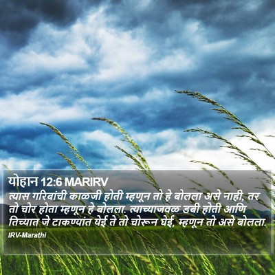 योहान 12:6 MARIRV Bible Verse Image