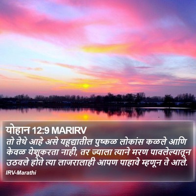 योहान 12:9 MARIRV Bible Verse Image