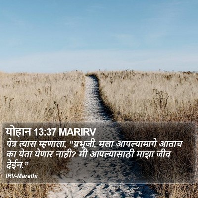 योहान 13:37 MARIRV Bible Verse Image