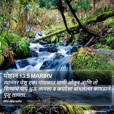 योहान 13:5 MARIRV Bible Verse Image