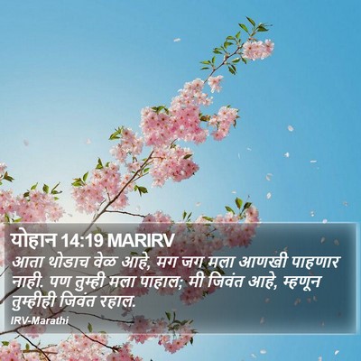 योहान 14:19 MARIRV Bible Verse Image