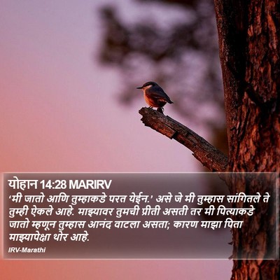 योहान 14:28 MARIRV Bible Verse Image