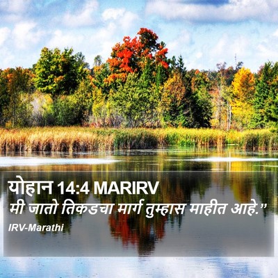 योहान 14:4 MARIRV Bible Verse Image