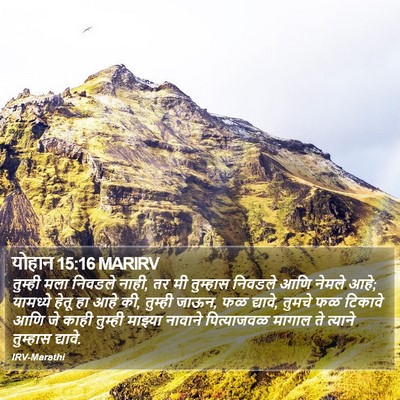 योहान 15:16 MARIRV Bible Verse Image