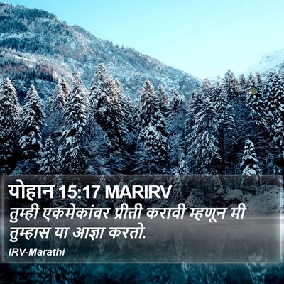 योहान 15:17 MARIRV Bible Verse Image
