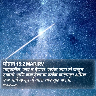 योहान 15:2 MARIRV Bible Verse Image