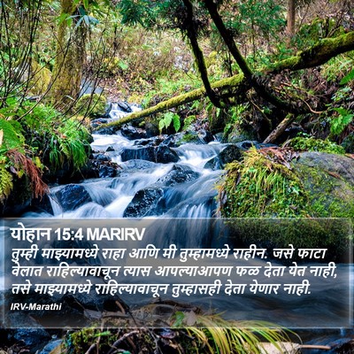 योहान 15:4 MARIRV Bible Verse Image