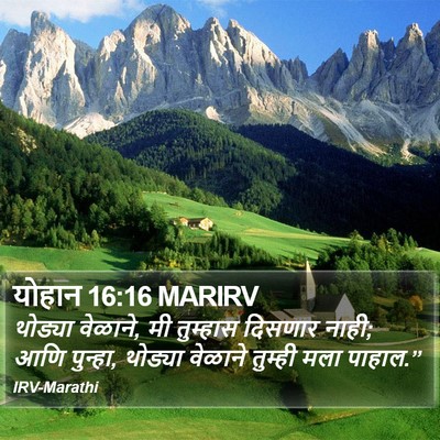 योहान 16:16 MARIRV Bible Verse Image
