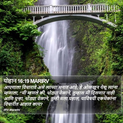 योहान 16:19 MARIRV Bible Verse Image