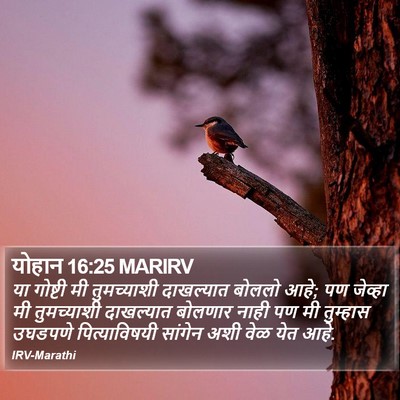 योहान 16:25 MARIRV Bible Verse Image