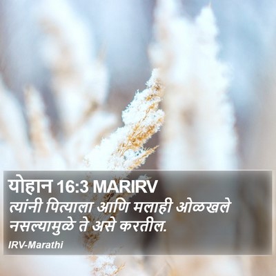 योहान 16:3 MARIRV Bible Verse Image