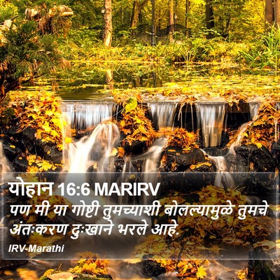 योहान 16:6 MARIRV Bible Verse Image