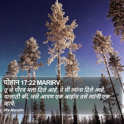 योहान 17:22 MARIRV Bible Verse Image