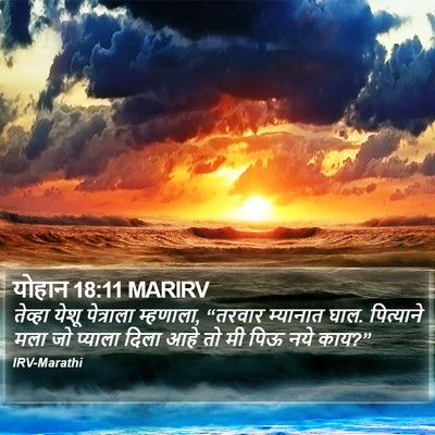 योहान 18:11 MARIRV Bible Verse Image