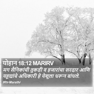 योहान 18:12 MARIRV Bible Verse Image