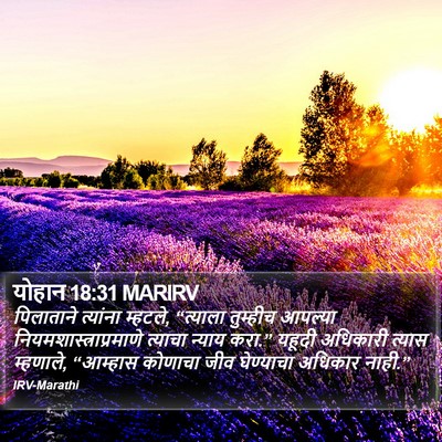 योहान 18:31 MARIRV Bible Verse Image
