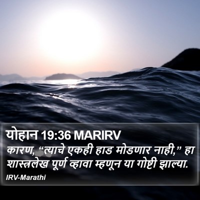 योहान 19:36 MARIRV Bible Verse Image