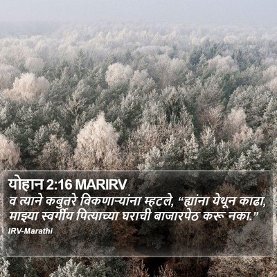 योहान 2:16 MARIRV Bible Verse Image