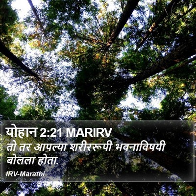 योहान 2:21 MARIRV Bible Verse Image