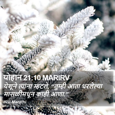 योहान 21:10 MARIRV Bible Verse Image