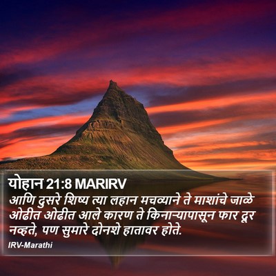 योहान 21:8 MARIRV Bible Verse Image