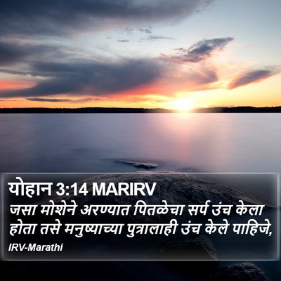 योहान 3:14 MARIRV Bible Verse Image