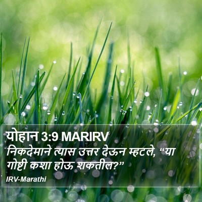 योहान 3:9 MARIRV Bible Verse Image