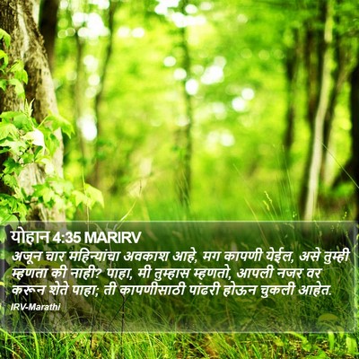 योहान 4:35 MARIRV Bible Verse Image