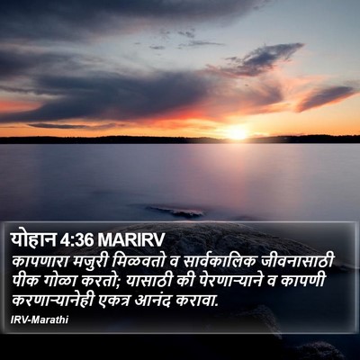 योहान 4:36 MARIRV Bible Verse Image