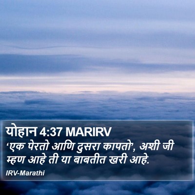 योहान 4:37 MARIRV Bible Verse Image
